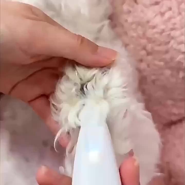 Pet Grooming trimmer