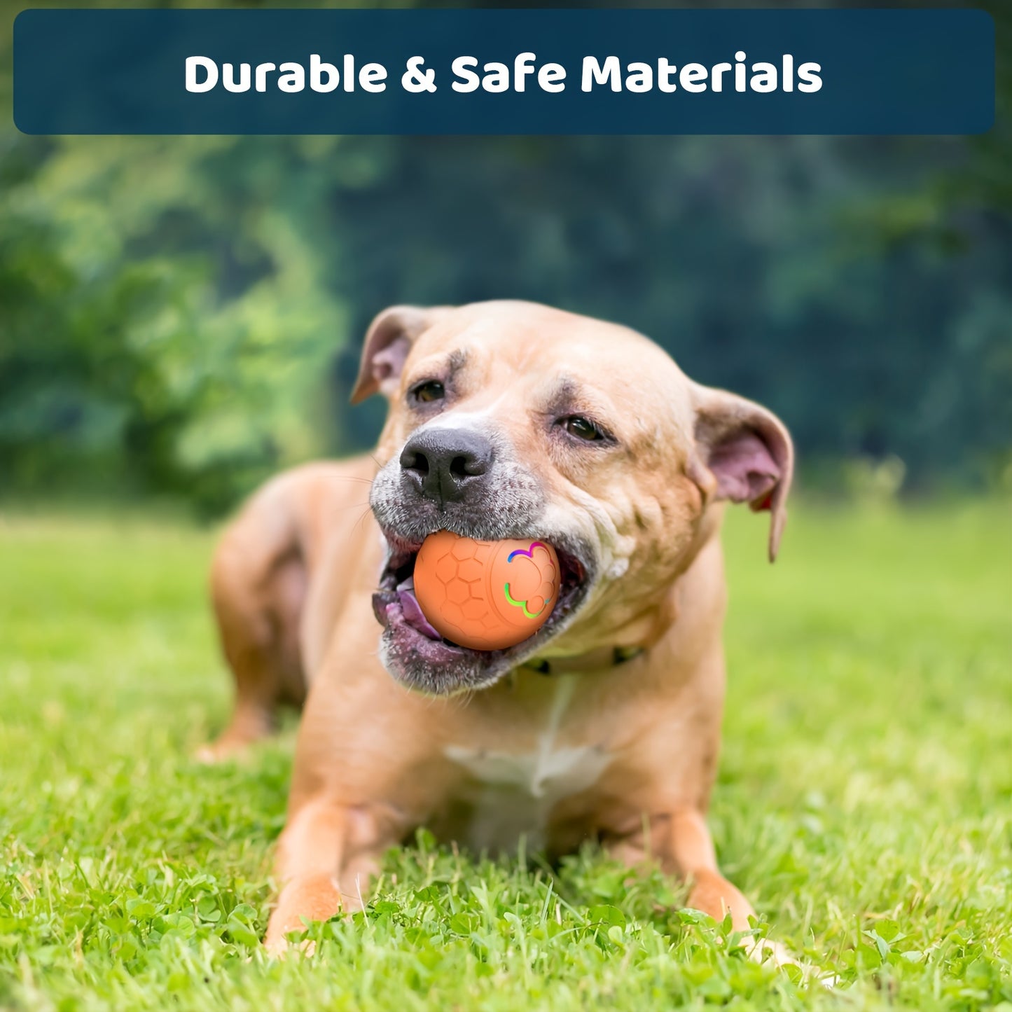 Rechargeable Smart Bouncing Ball Toy