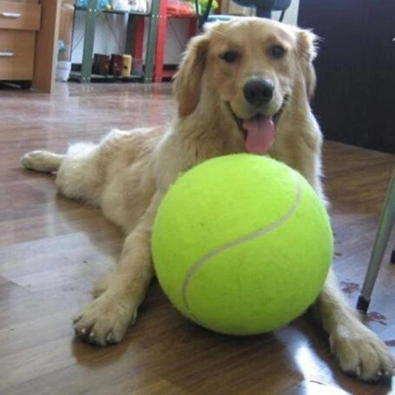 Large Interactive Tennis Ball Dog Toy