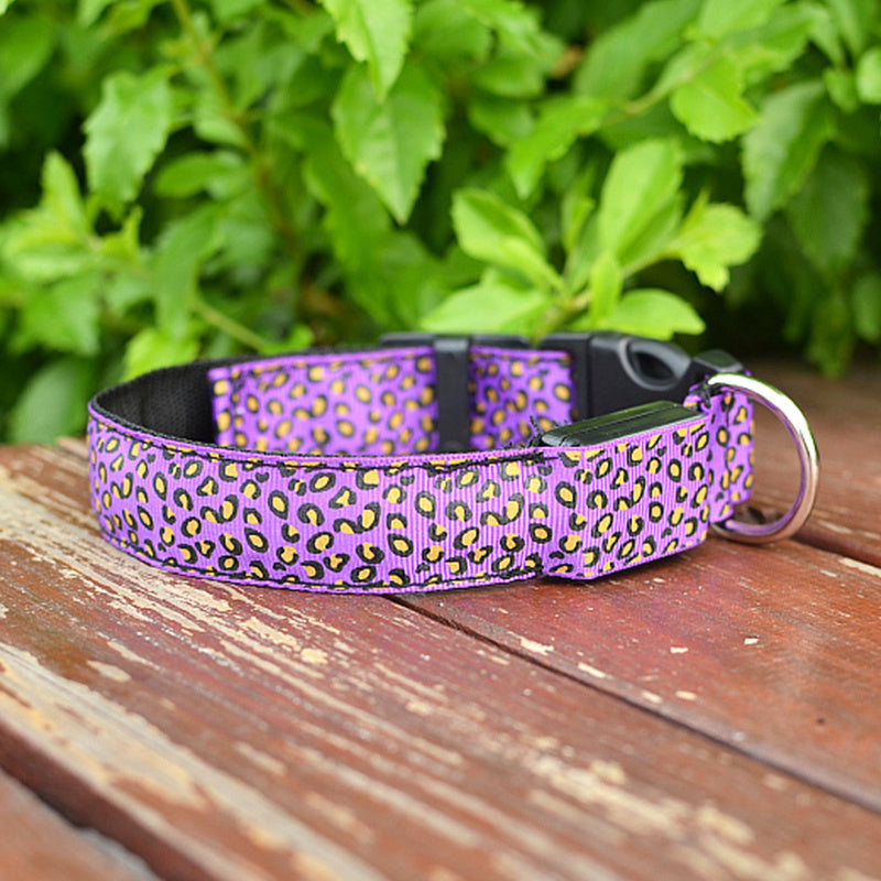 Leopard Print LED Collar for Dogs and Cats