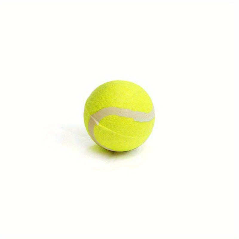 Interactive Dog Fetch Toy