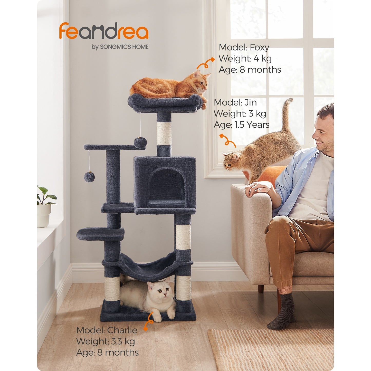 Multi-Level Cat Tree