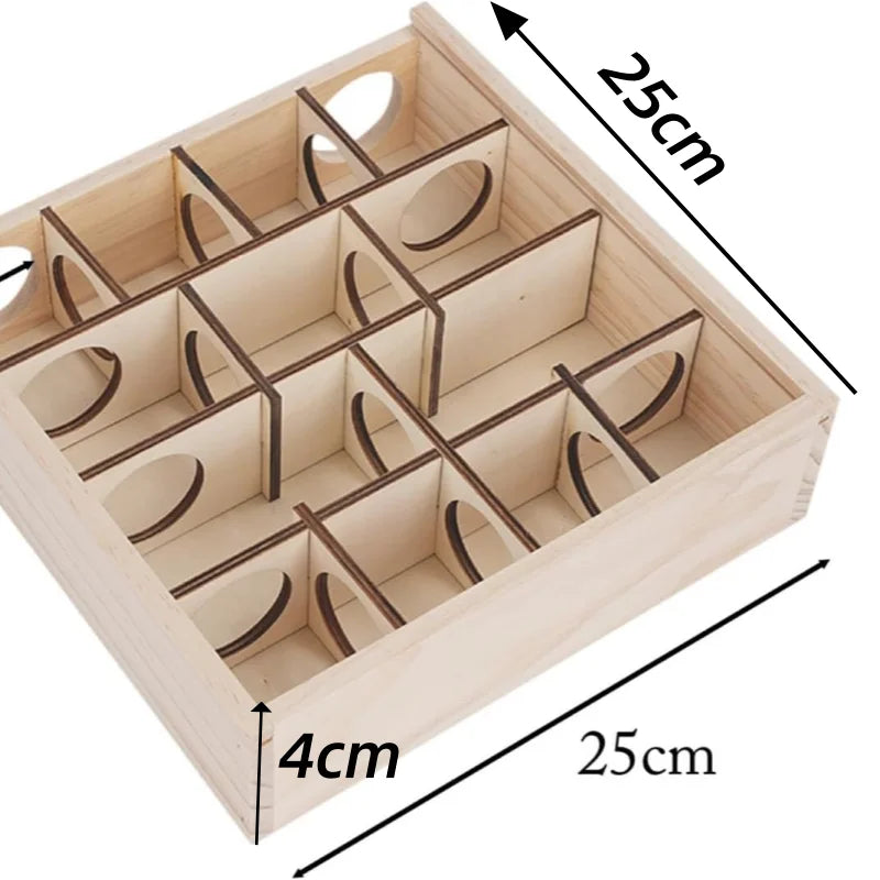 Hamster Maze Toy Puzzle
