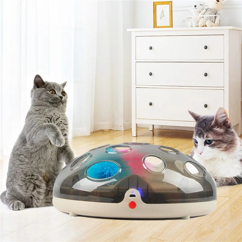 Interactive Electric Turntable Funny Toys For Cats