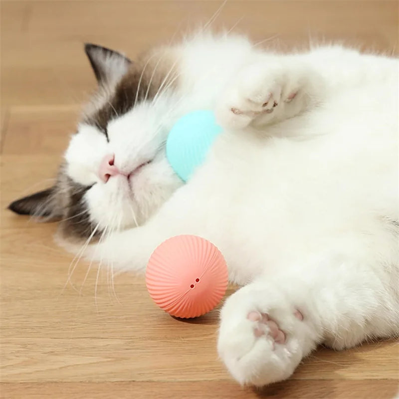 Smart Dog/Cat Toy
