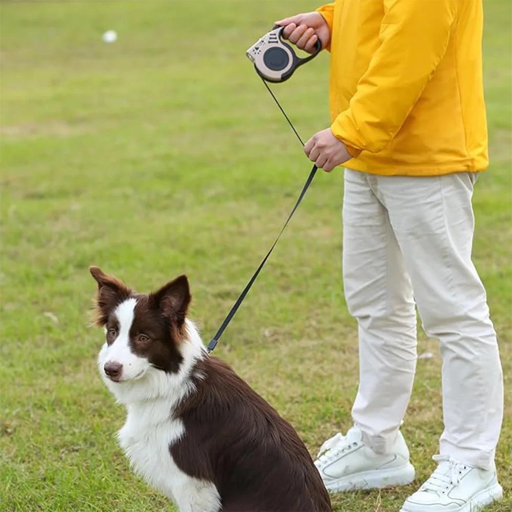Charging LED lighting traction rope 5-meter automatic retractable dog walking rope