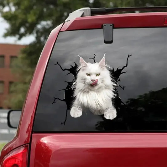 Maine Coon Cat Decal