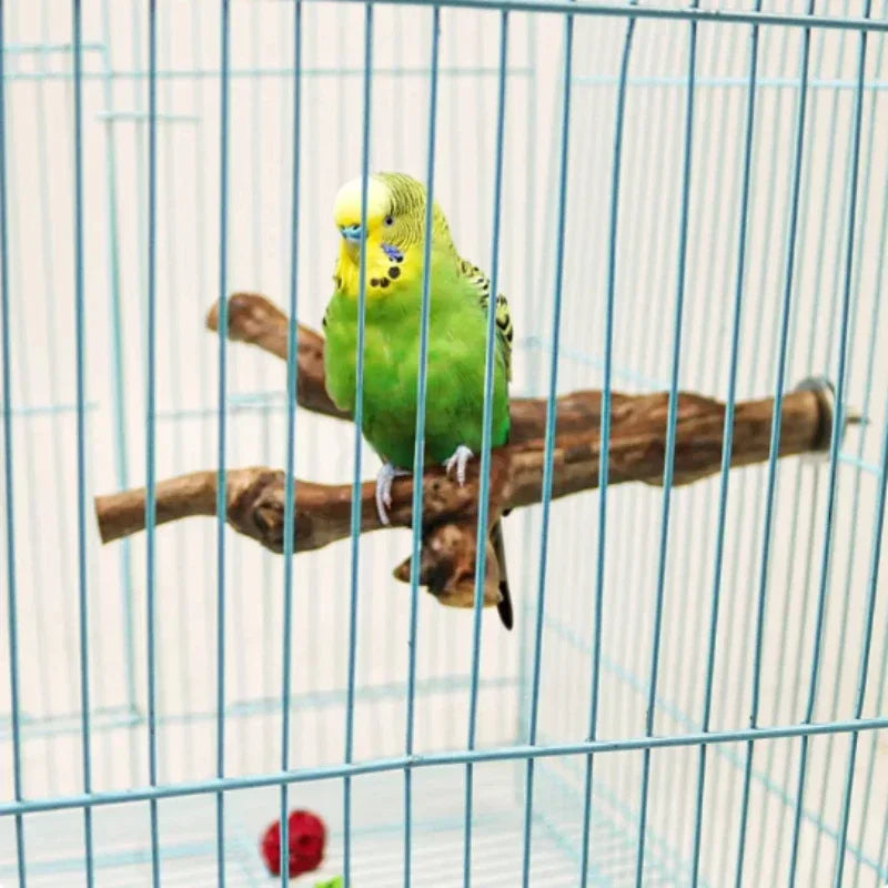 Standing Stick Wild Grape Wood for Parrot