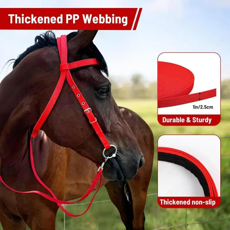 Horse Bridle Adjustable