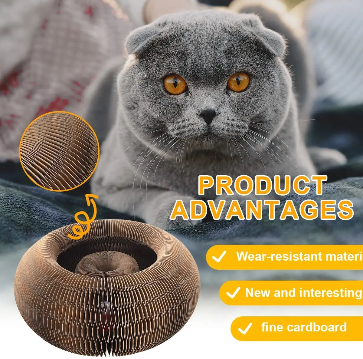 Magic Organ Cat Toy Cats Scratcher