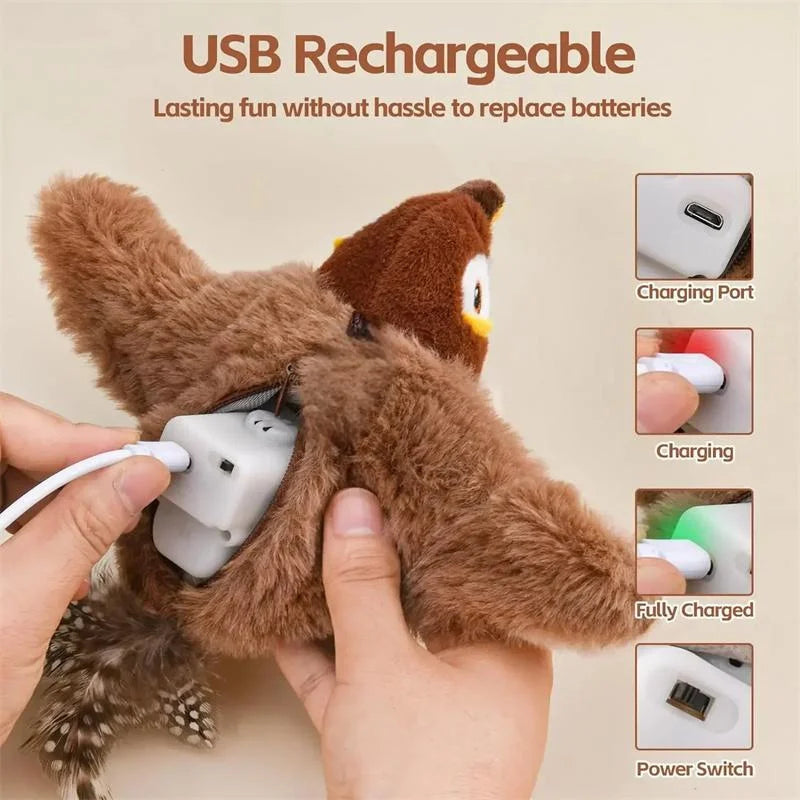 Interactive Cat Toys