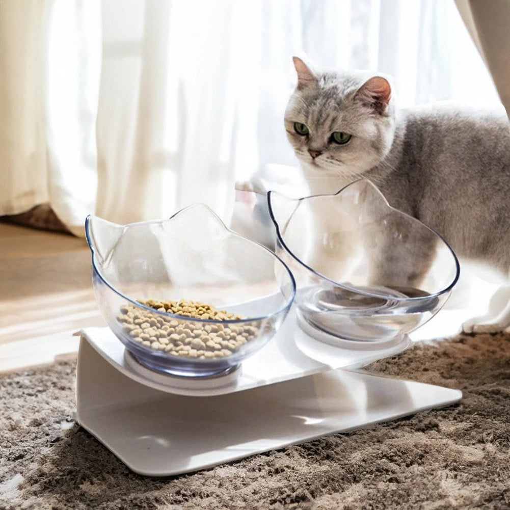 New Cat feeder