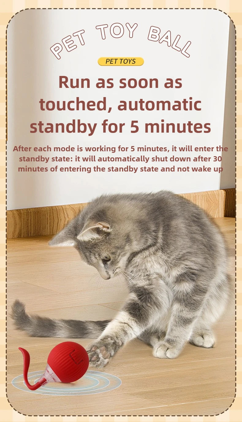 Cat/Dog Interactive Ball Toy Automatic