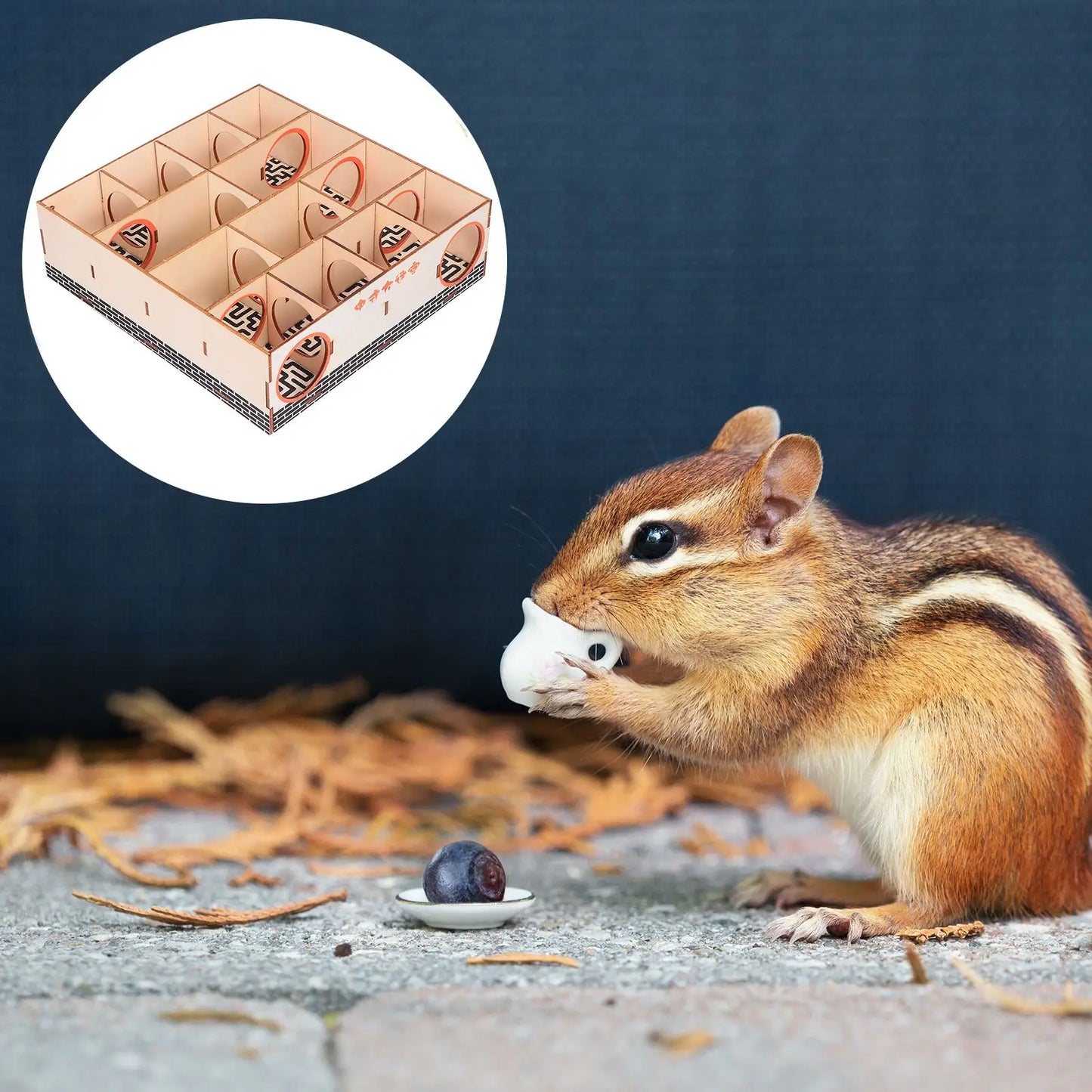 Hamster Maze Multi- Chamber