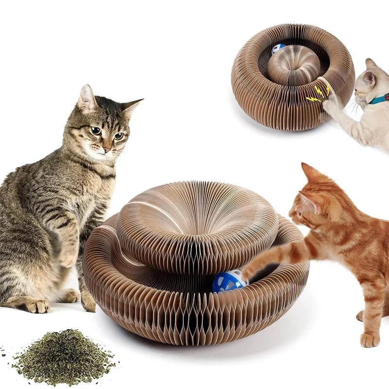 Magic Organ Cat Toy Cats Scratcher