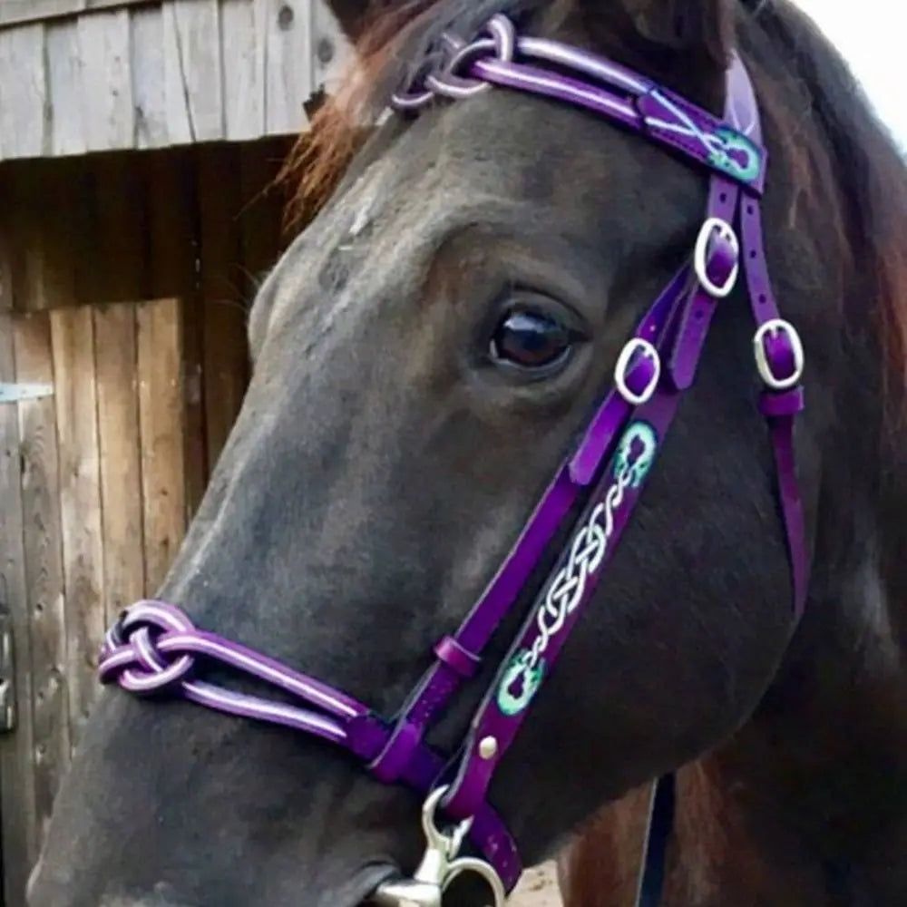 Leather Horses Bridle Halters Metal Buckle