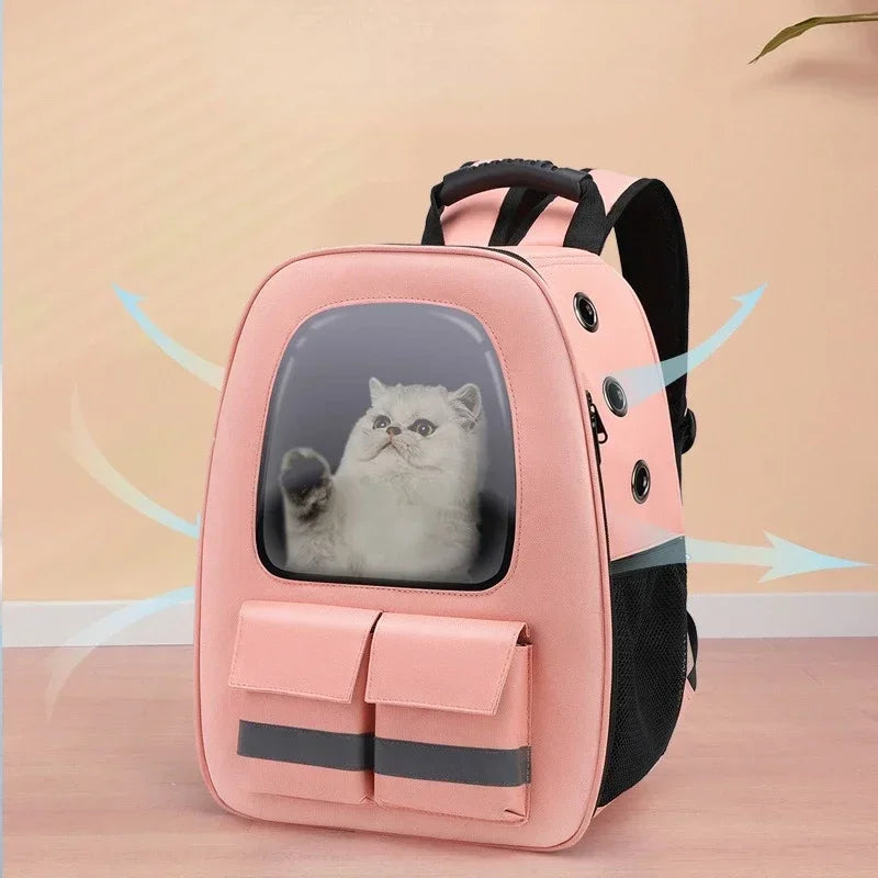 3D Transparent Window Backpack