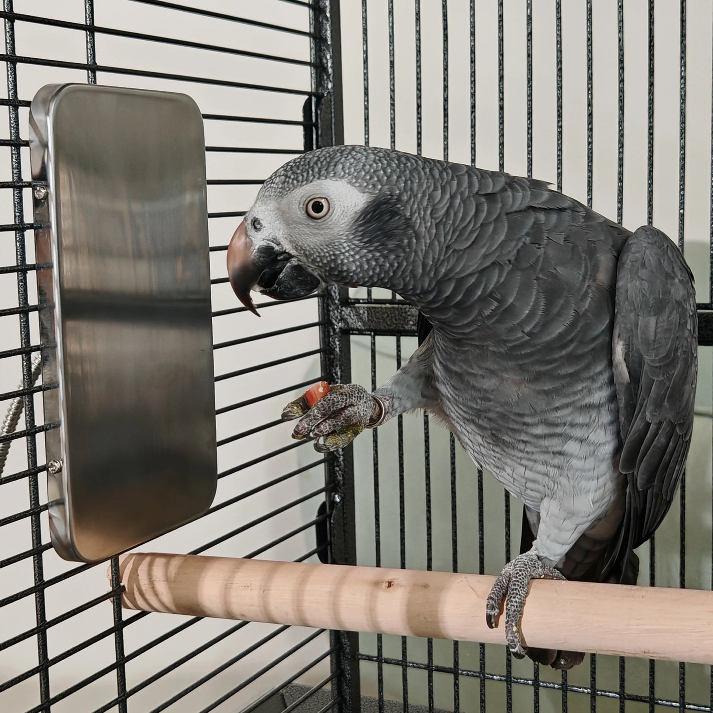 Bird Warmer for Parrot