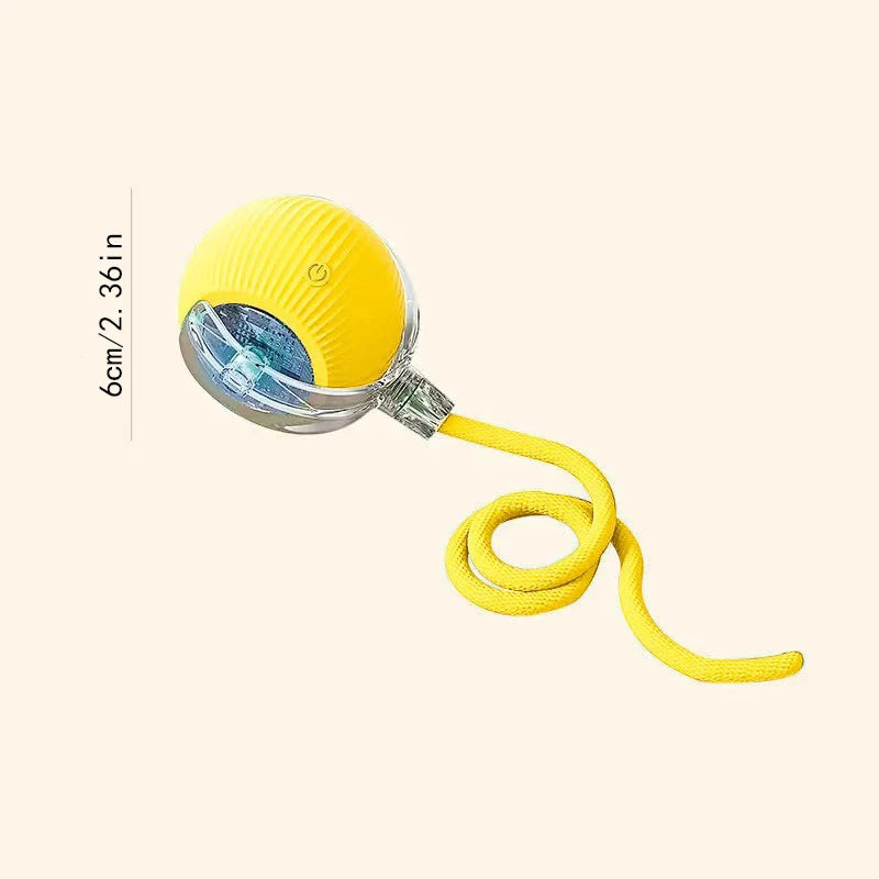 Smart Dog/Cat Toy