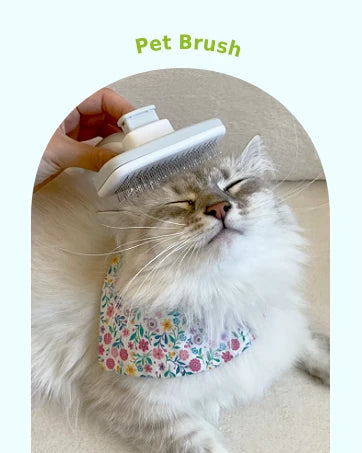 Self-Cleaning Slicker Brush