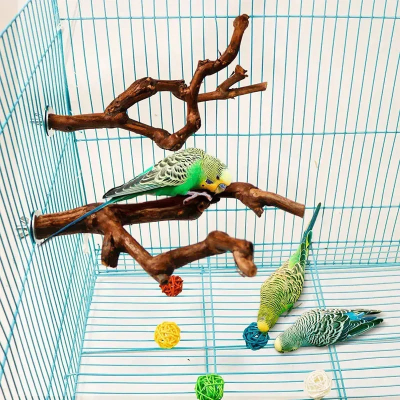 Standing Stick Wild Grape Wood for Parrot