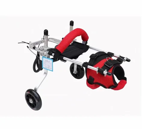 Cat specific wheelchair disability scooter