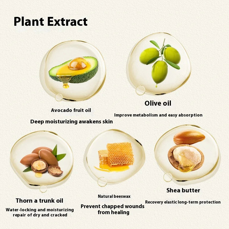 Avocado Sea Buckthorn Shea Pet Paw Protection