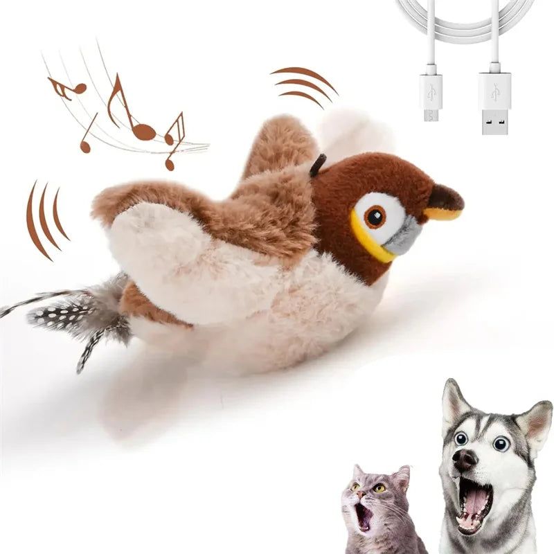 Interactive Cat Toys
