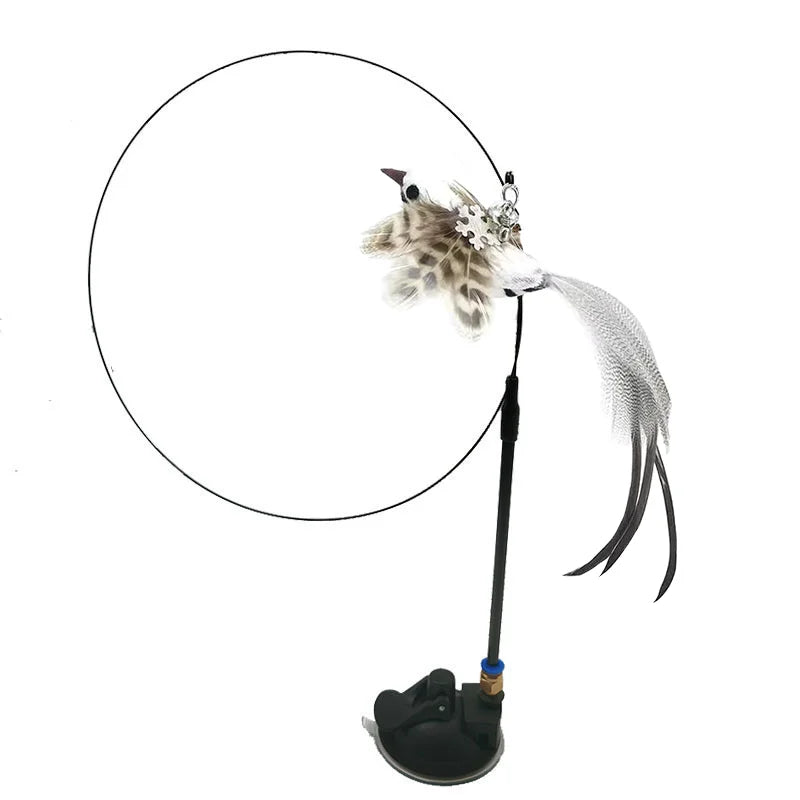 Simulation Bird Interactive