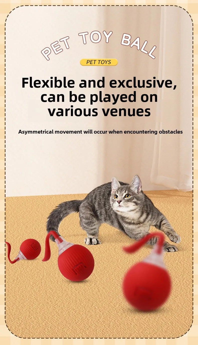 Cat/Dog Interactive Ball Toy Automatic
