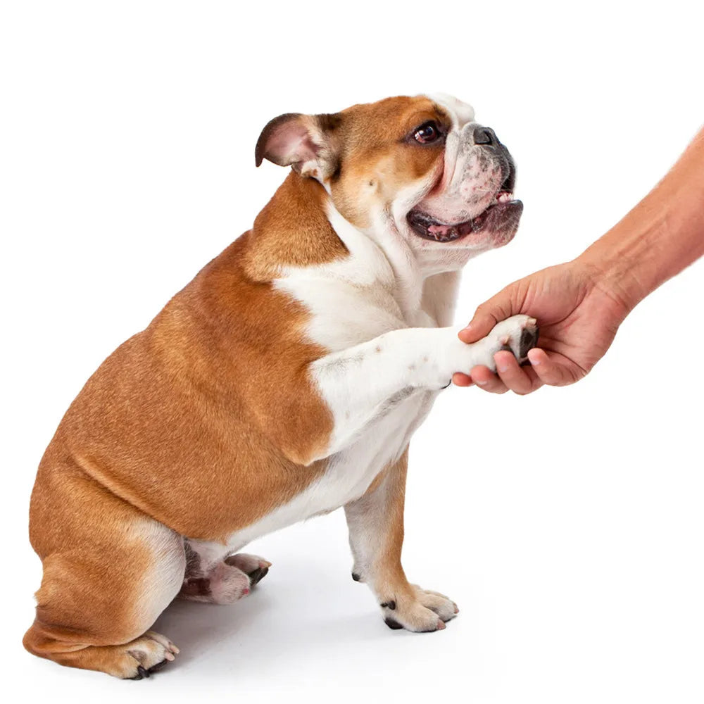 Pet Paw Cleaner