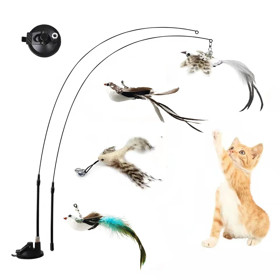 Simulation Bird Interactive