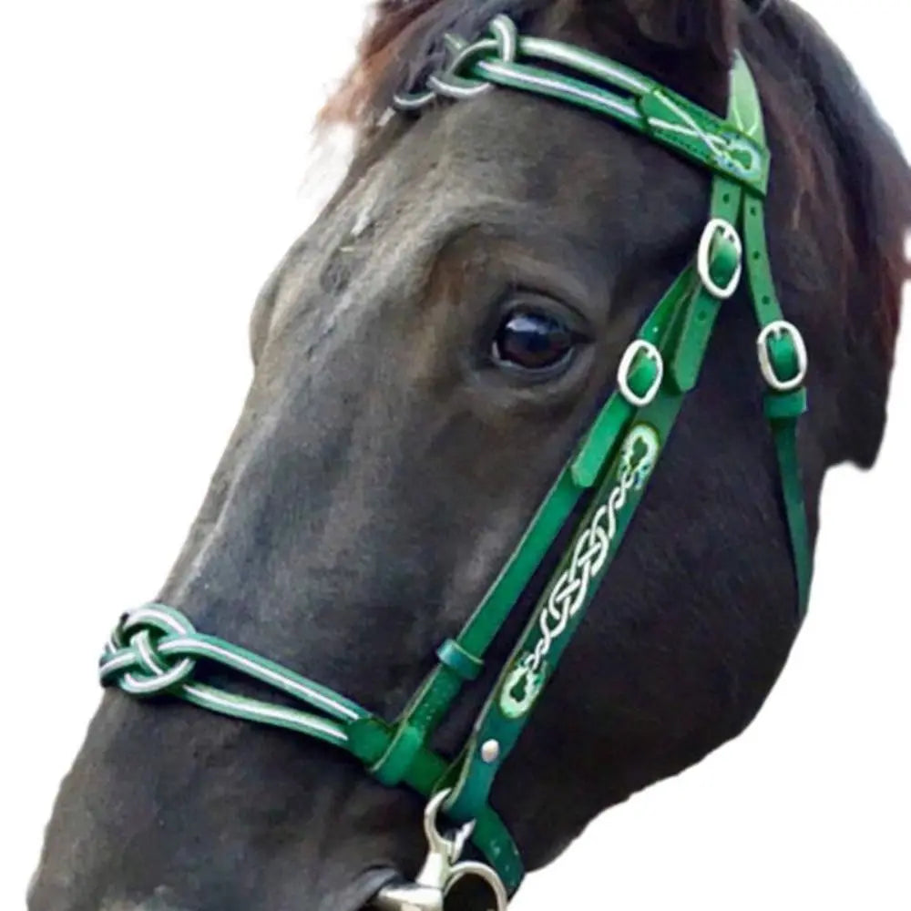 Leather Horses Bridle Halters Metal Buckle