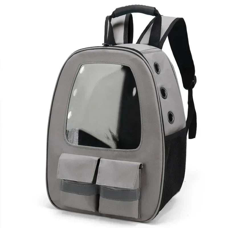 3D Transparent Window Backpack