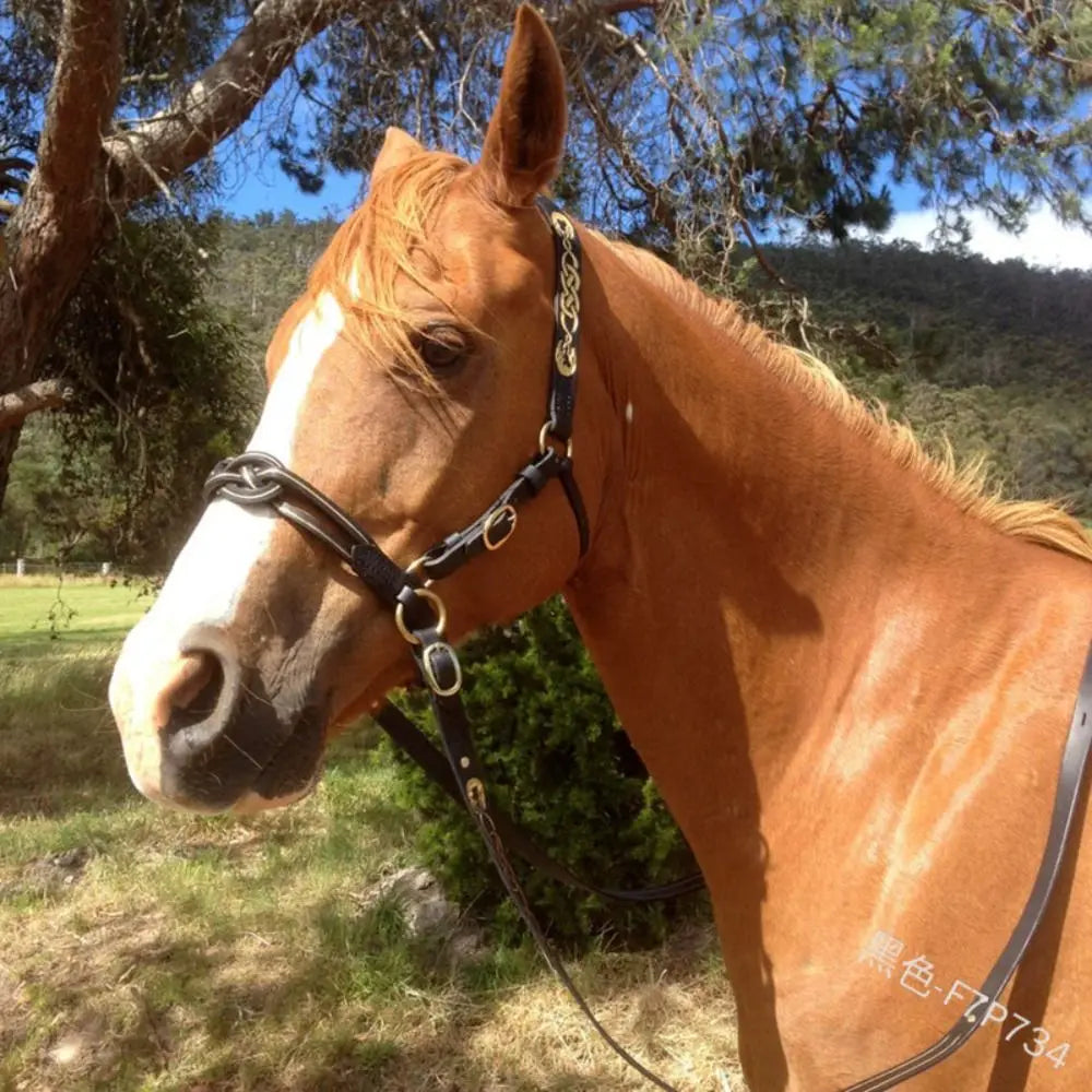 Leather Horses Bridle Halters Metal Buckle