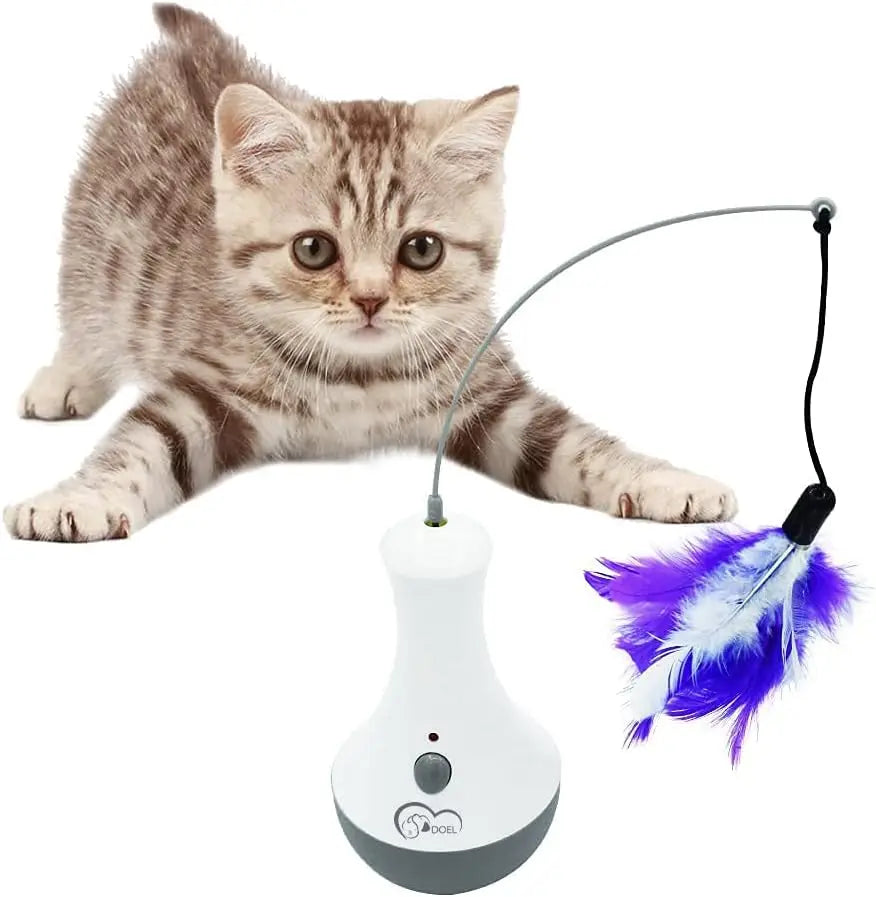 Cat Interactive Toys