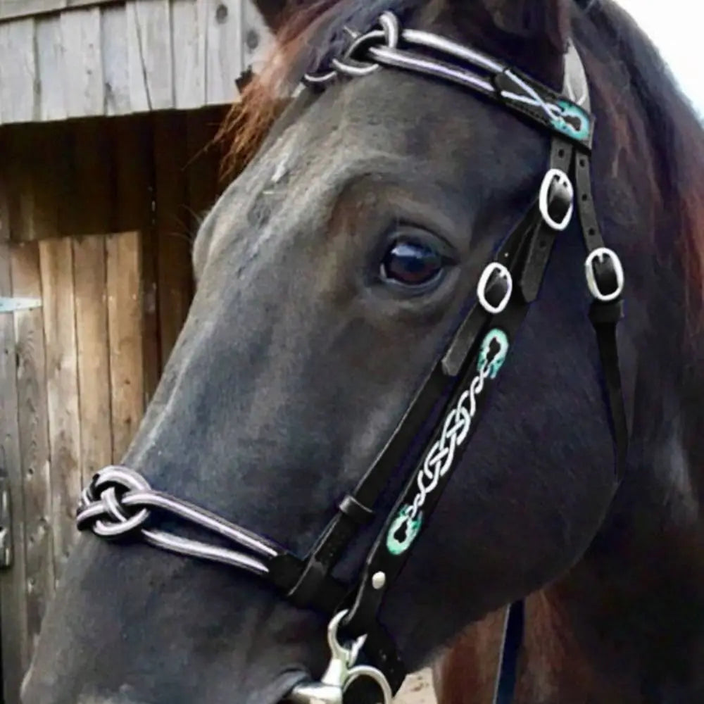 Leather Horses Bridle Halters Metal Buckle