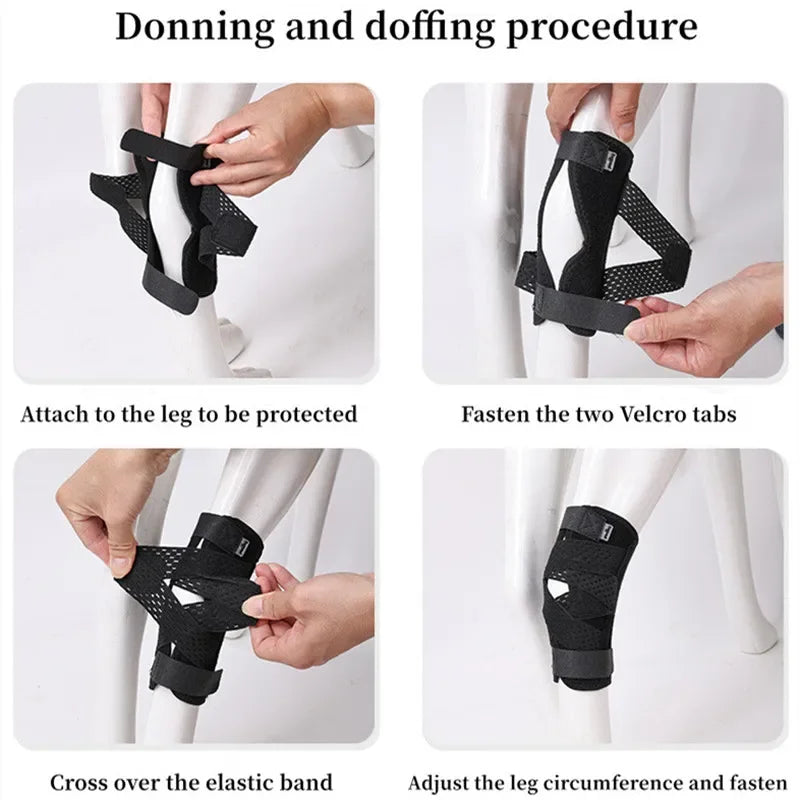 Protects Bandage Dog