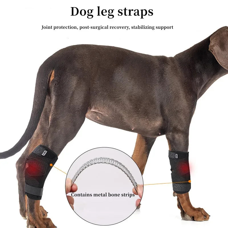 Protects Bandage Dog