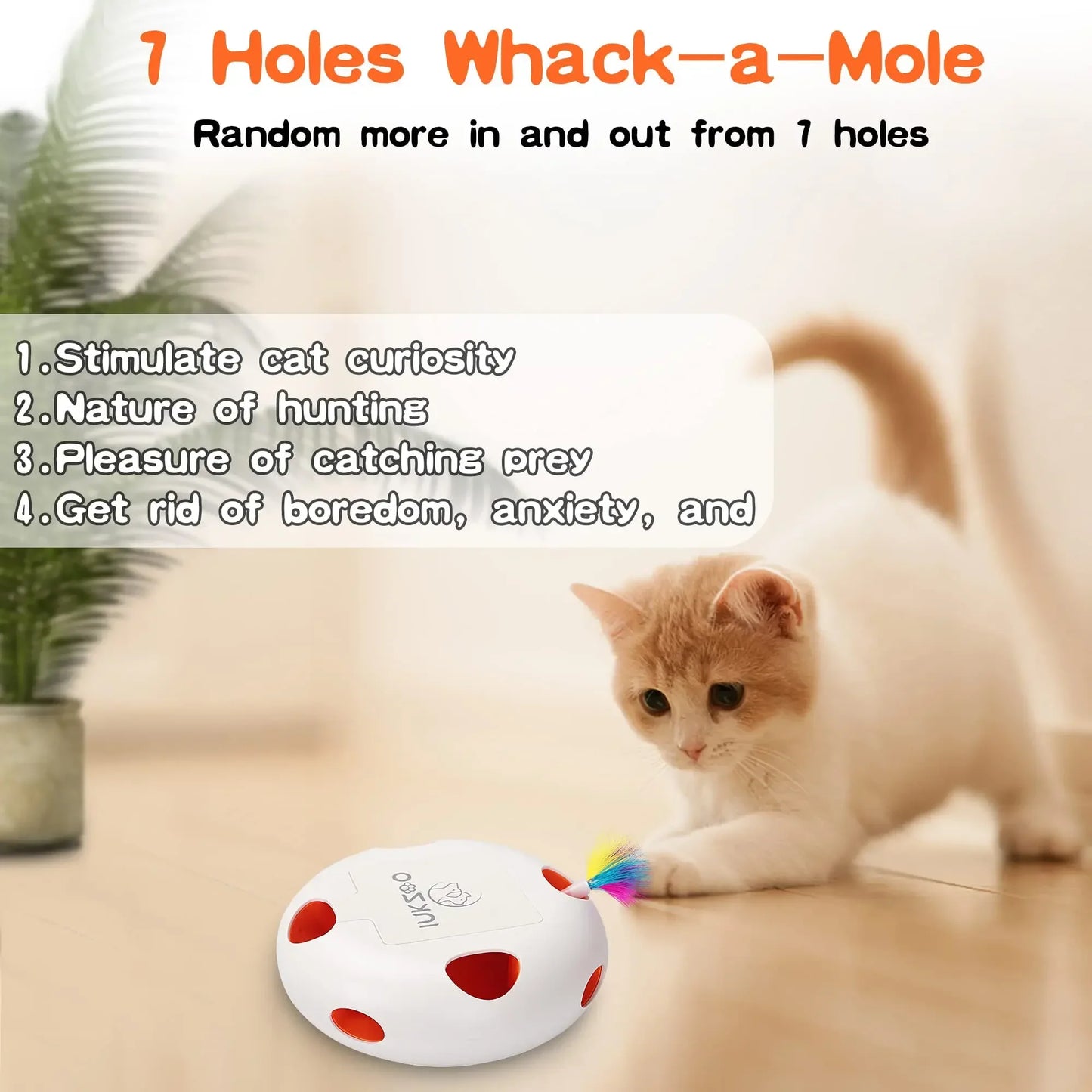 Interactive Cat Toys for Indoor Cats