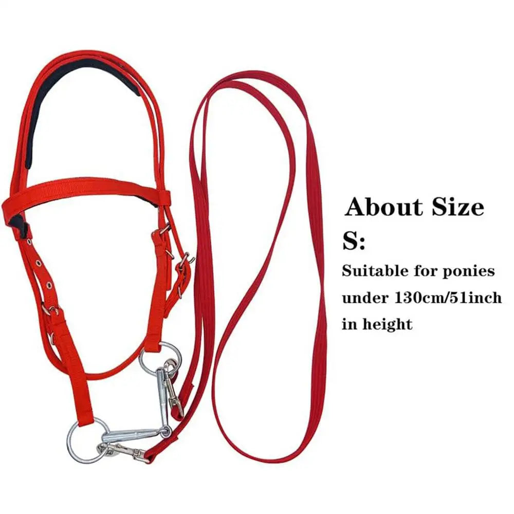 Horse Bridle Adjustable