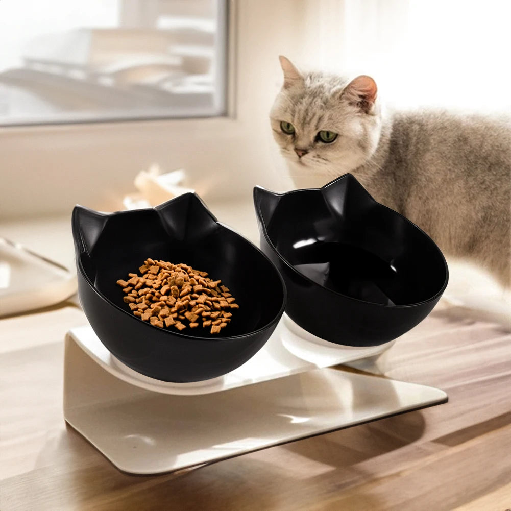 New Cat feeder