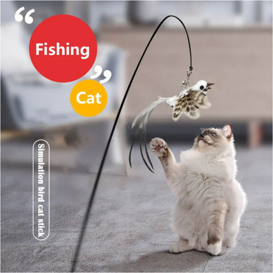 Simulation Bird Interactive