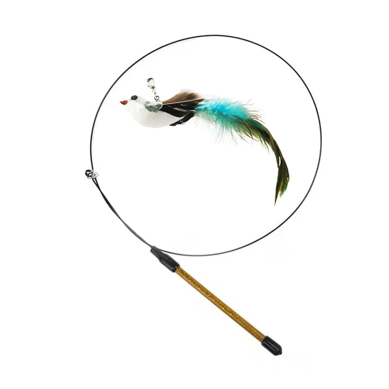 Simulation Bird Interactive