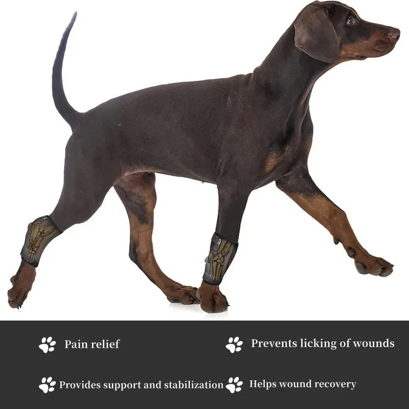 Protects Bandage Dog