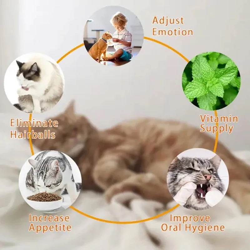 Natural Catnip Toys