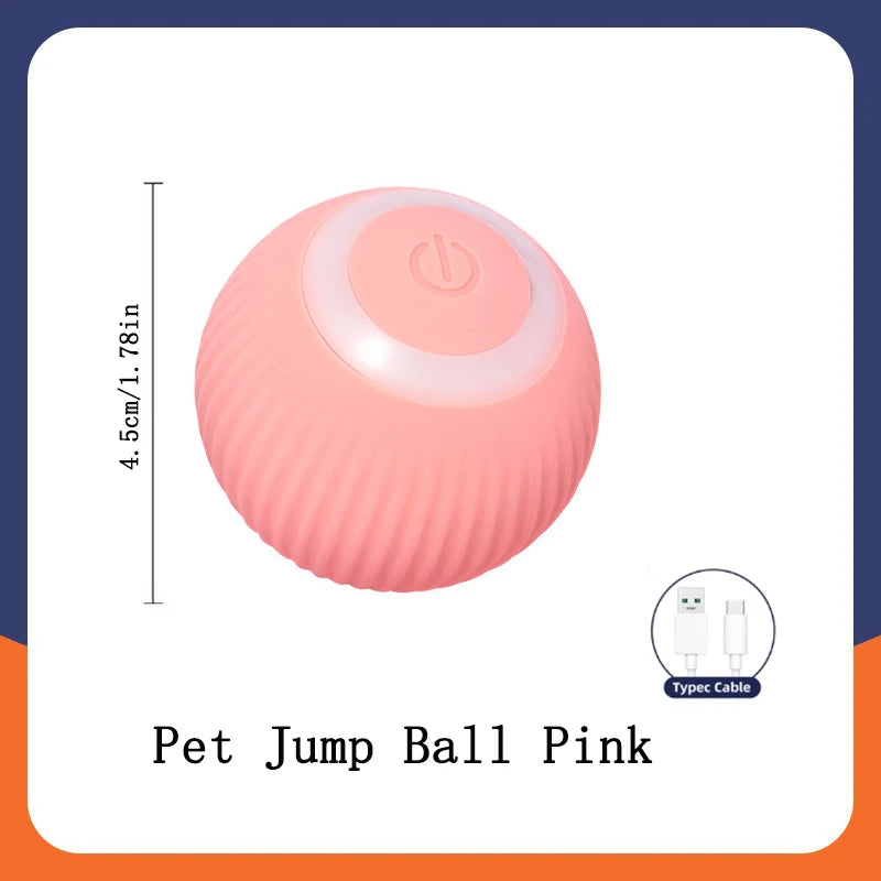 Smart Dog/Cat Toy