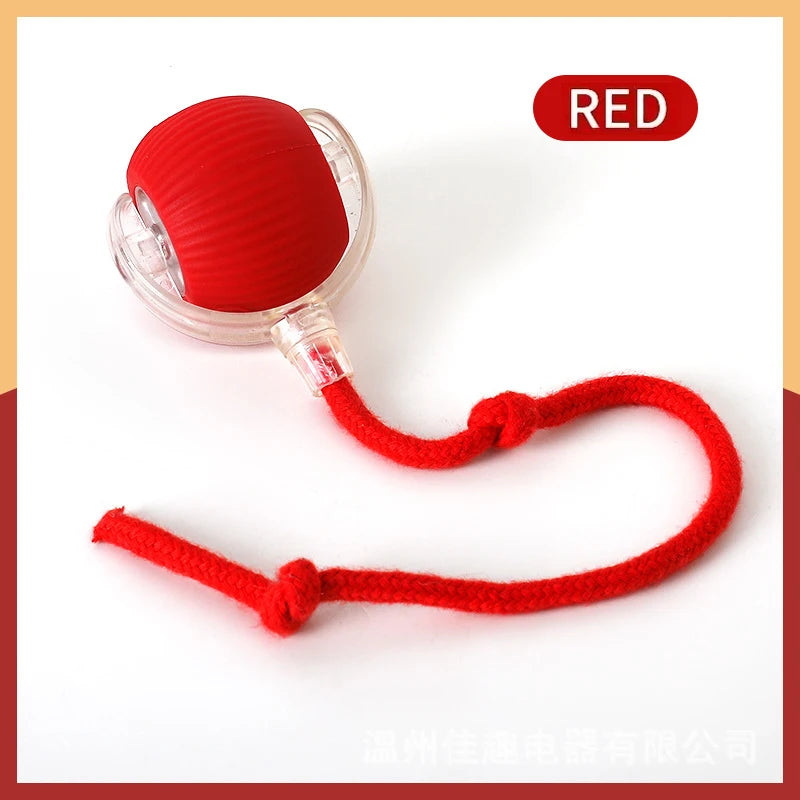 Smart Dog/Cat Toy