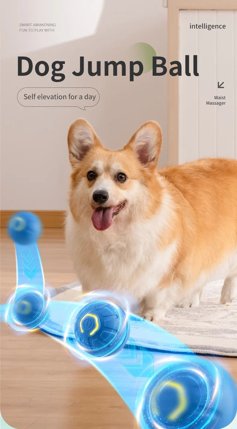 Smart Toy Ball