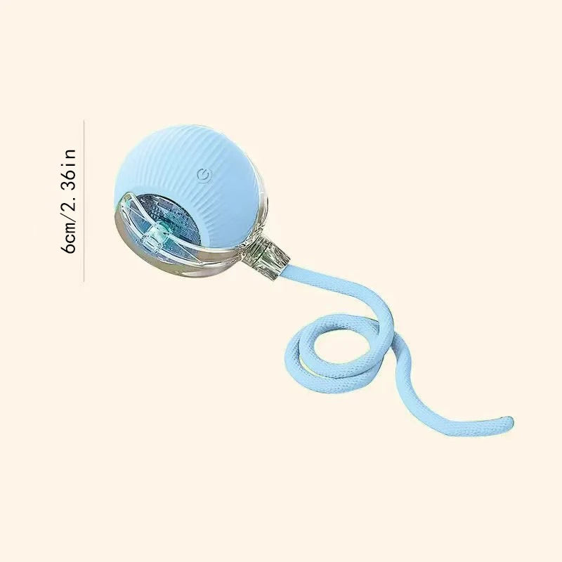 Smart Dog/Cat Toy